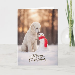 Weißer Pudel Weihnachtsmann Schneemann Feiertagskarte