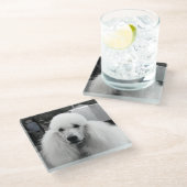 Weißer Pudelglas-Untersetzer Glasuntersetzer (Schrägansicht)