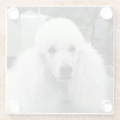 Weißer Pudelglas-Untersetzer Glasuntersetzer (Rückseite)