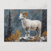 Weißer Ram Stehend auf dem Snowy Mountain Postkarte (Vorderseite)