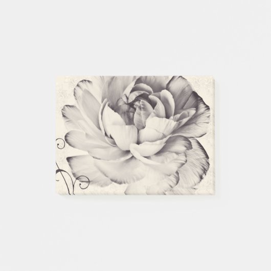 Weißer Ranunculus-Blume Schwarzer Hintergrund Post-it Klebezettel (Vorderseite)