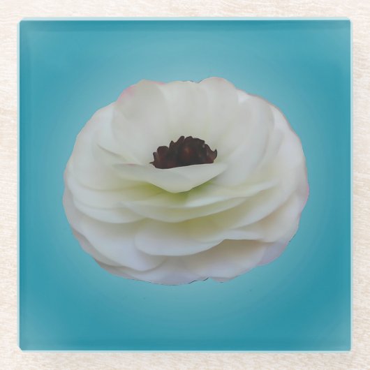 Weißer Ranunculus-Blumen-Glas-Untersetzer Glasuntersetzer (Vorderseite)