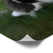 Weißer Regal Poster (Ecke)