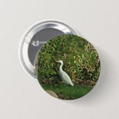 Weißer Reiher Button (Vorne & Hinten)