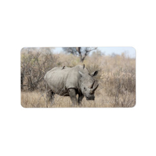 Weißer Rhino Adressaufkleber
