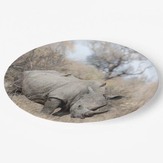 Weißer Rhino Pappteller (Schrägansicht)
