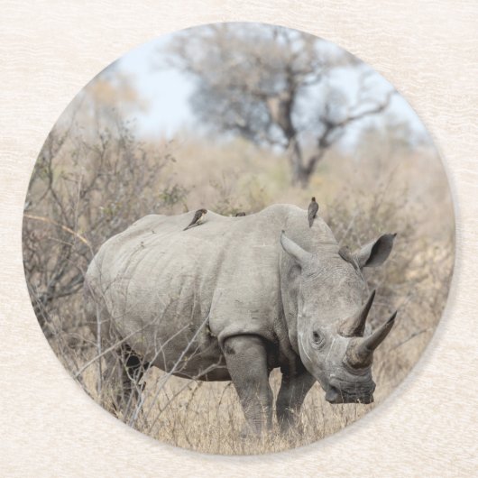 Weißer Rhino Runder Pappuntersetzer (Vorderseite)