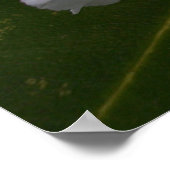 Weißer Rhododendron in Bloom Poster (Ecke)