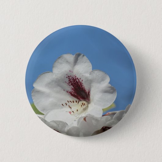 Weißer Rhododendron mit Burgunderrot Button (Vorderseite)