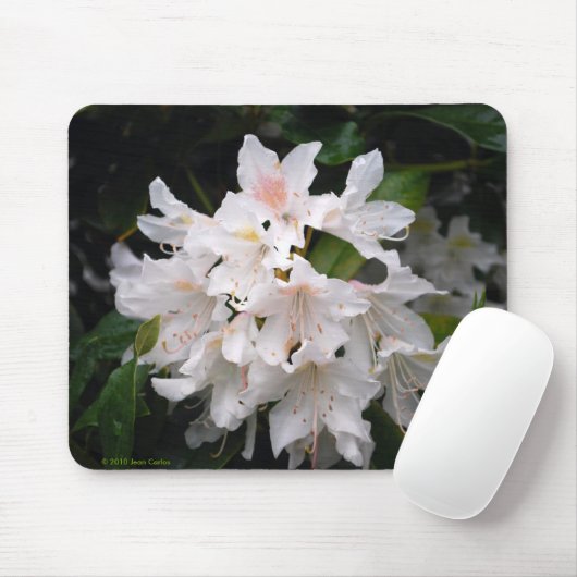 Weißer Rhododendron Mousepad (Mit Mouse)