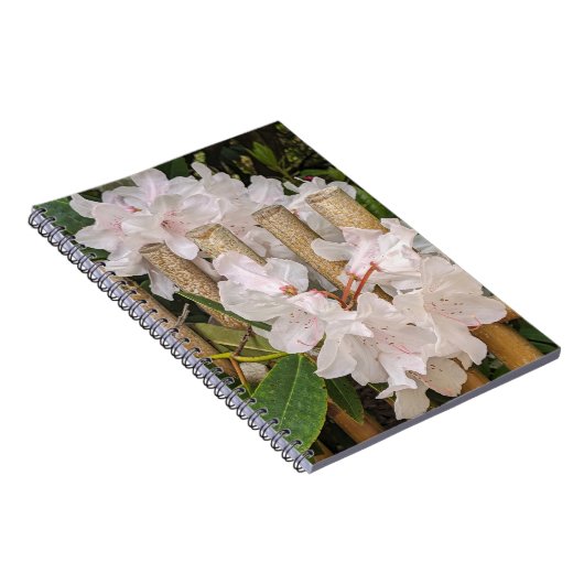 Weißer Rhododendron und Bambuszaun Notizblock (Rechte Seite)