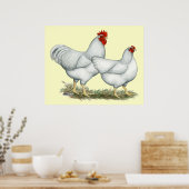 Weißer Rock Chickens Poster (Küche)