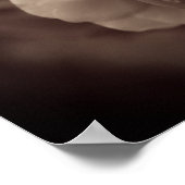 Weißer Rose mit Regentropfen in Sepia Poster (Ecke)