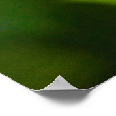 Weißer Rosen in Blüte Poster (Ecke)