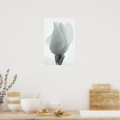 Weißer Rosenknospe ... Poster (Küche)