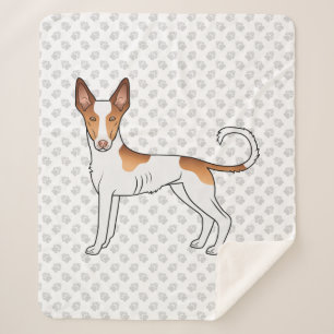 Weißer & roter Ibizan Hound mit glattem Fell Hund Sherpadecke