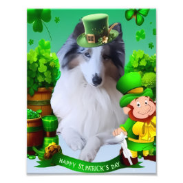 Weißer Rough Collie feiert St. Patrick's Day Fotodruck