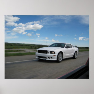 Weißer Saleen Mustang Poster