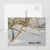 Weißer Sand mit Gras Postkarte (Vorne/Hinten)