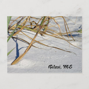 Weißer Sand mit Gras Postkarte