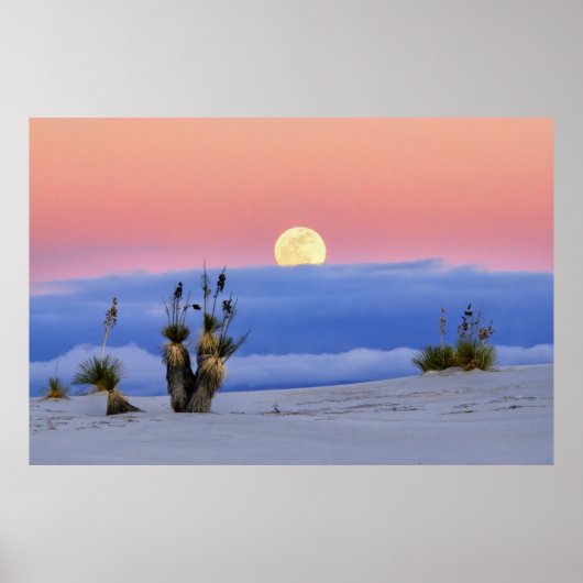 WEISSER SAND POSTER (Vorne)