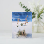 Weißer Sand Postkarte (Stehend Vorderseite)