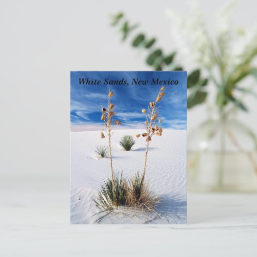 Weißer Sand Postkarte (Stehend Vorderseite)