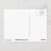 Weißer Sand Postkarte (Rückseite)