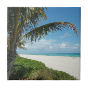Weißer Sand-Strand w/Palm Fliese