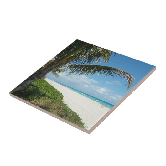 Weißer Sand-Strand w/Palm Fliese (Seite)