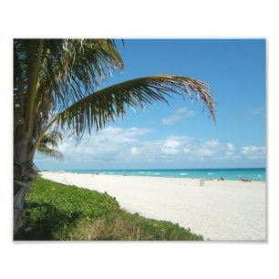 Weißer Sand-Strand w/Palm Fotodruck