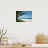 Weißer Sandstrand mit Palm Poster (Küche)