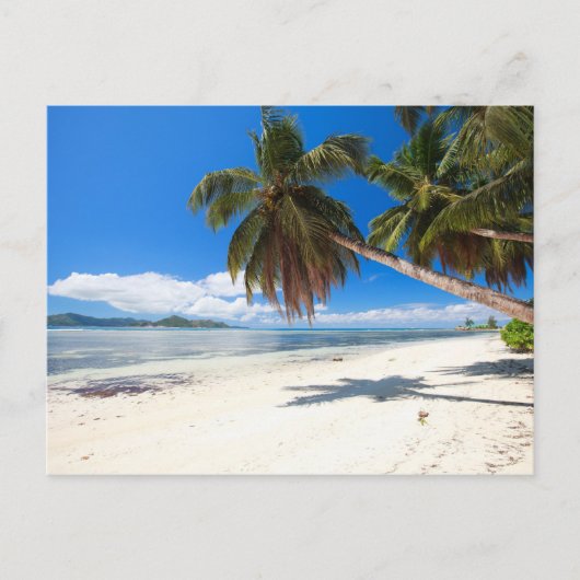 Weißer Sandstrand Postkarte (Vorderseite)