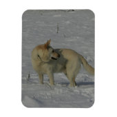 Weißer Schäfer im Schnee Magnet (Vertikal)