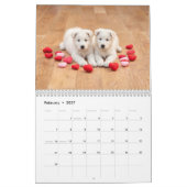 Weißer Schäferhund 2027 Kalender (Feb 2027)