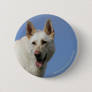 Weißer Schäferhund Button