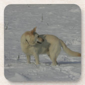 Weißer Schäferhund im Schnee Untersetzer (Vorderseite)