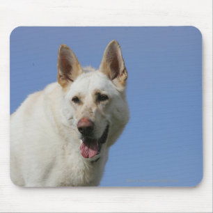 Weißer Schäferhund Mousepad