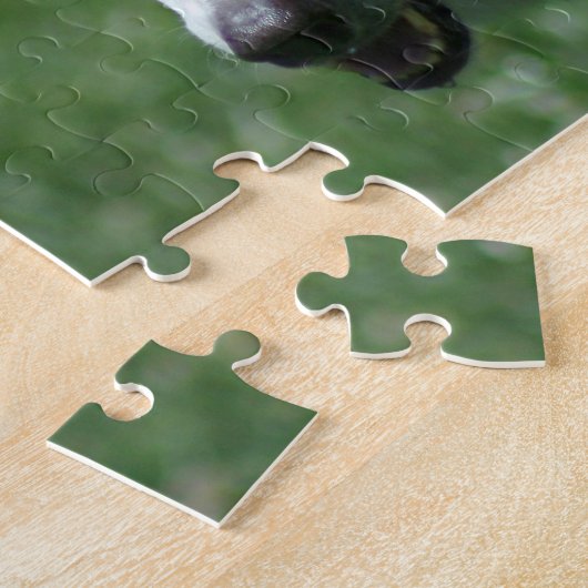 Weißer Schäferhund Puzzle (Seite)