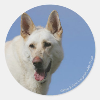 Weißer Schäferhund Runder Aufkleber