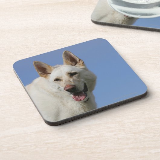 Weißer Schäferhund Untersetzer (Linke Seite)