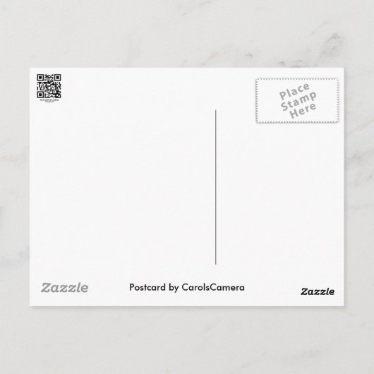 Weißer Schirmpilz-Koordinator Postkarte (Rückseite)