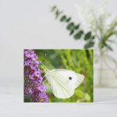 Weißer Schmetterling 1 Postkarte (Stehend Vorderseite)