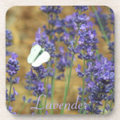 Weißer Schmetterling auf dem Lavendel Getränkeuntersetzer (Vorderseite)