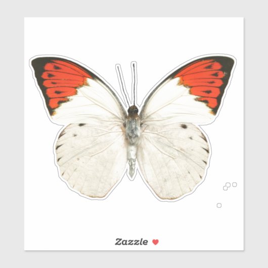 Weißer Schmetterling Aufkleber (Blatt)