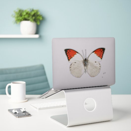 Weißer Schmetterling Aufkleber (Laptop auf Schreibtisch)