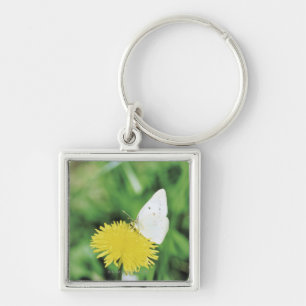 Weißer Schmetterling, der auf einem Löwenzahn Schlüsselanhänger