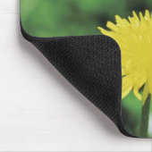 Weißer Schmetterling fütternd auf einem Löwenzahn Mousepad (Ecke)