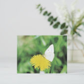 Weißer Schmetterling fütternd auf einem Löwenzahn Postkarte (Stehend Vorderseite)
