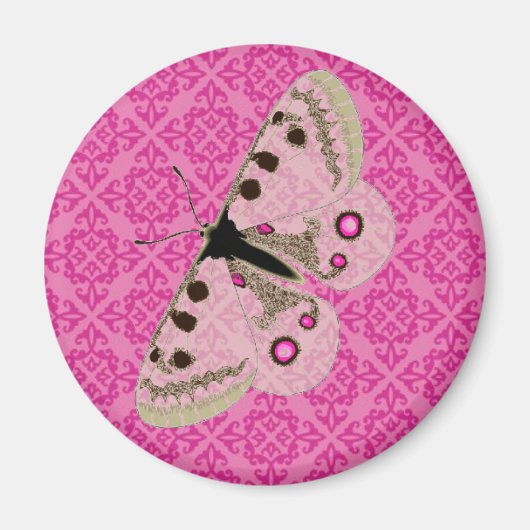 Weißer Schmetterling in Pink Magnet (Vorne)